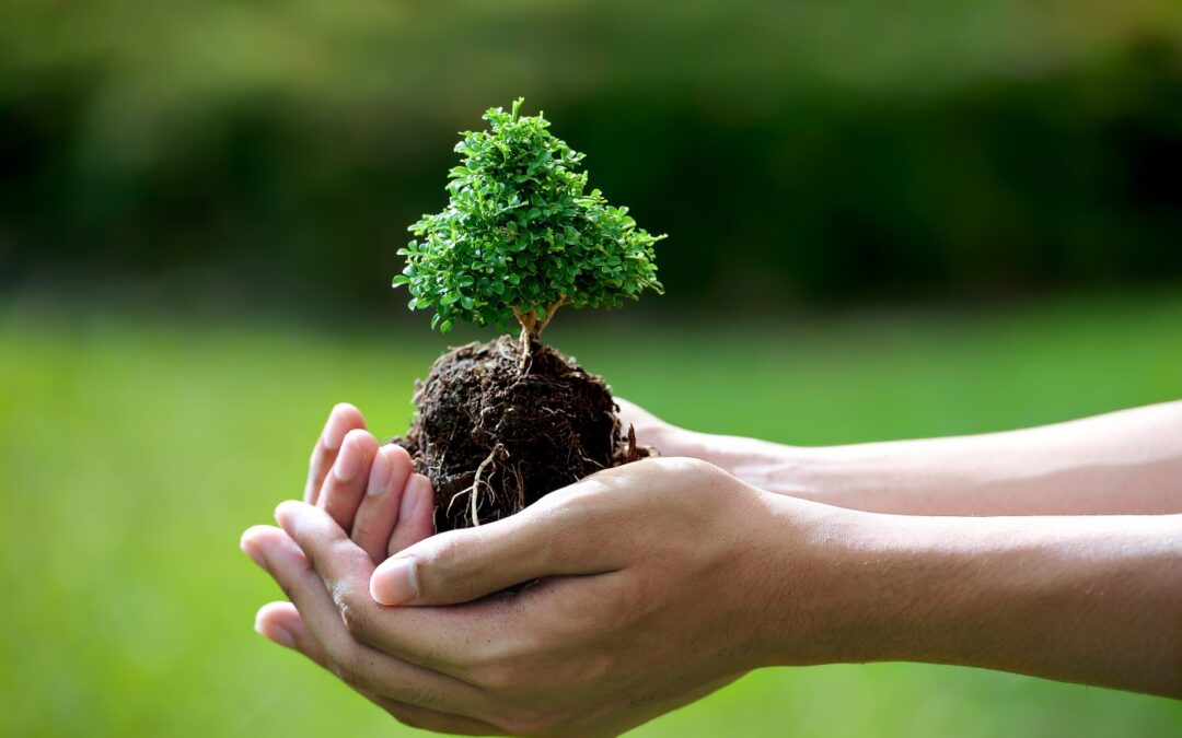 Legislação Ambiental